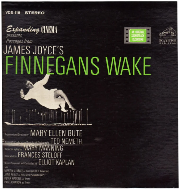 Elliot Kaplan - James Joyce's Finnegans Wake (Passages)