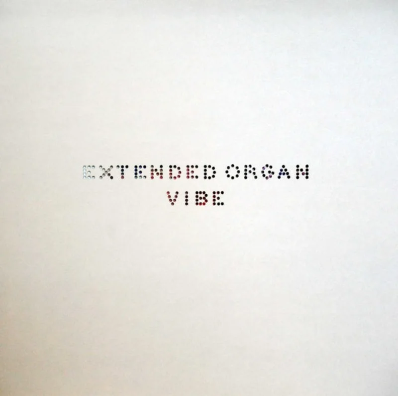 EXTENDED ORGAN Vibe