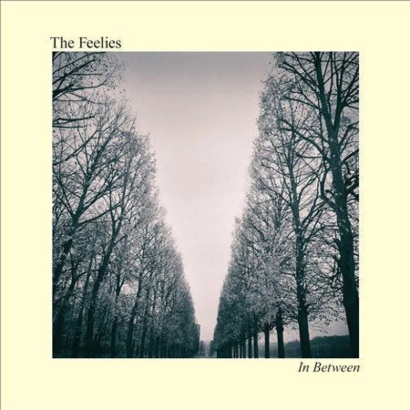 Feelies In Between (Digital Download Card)