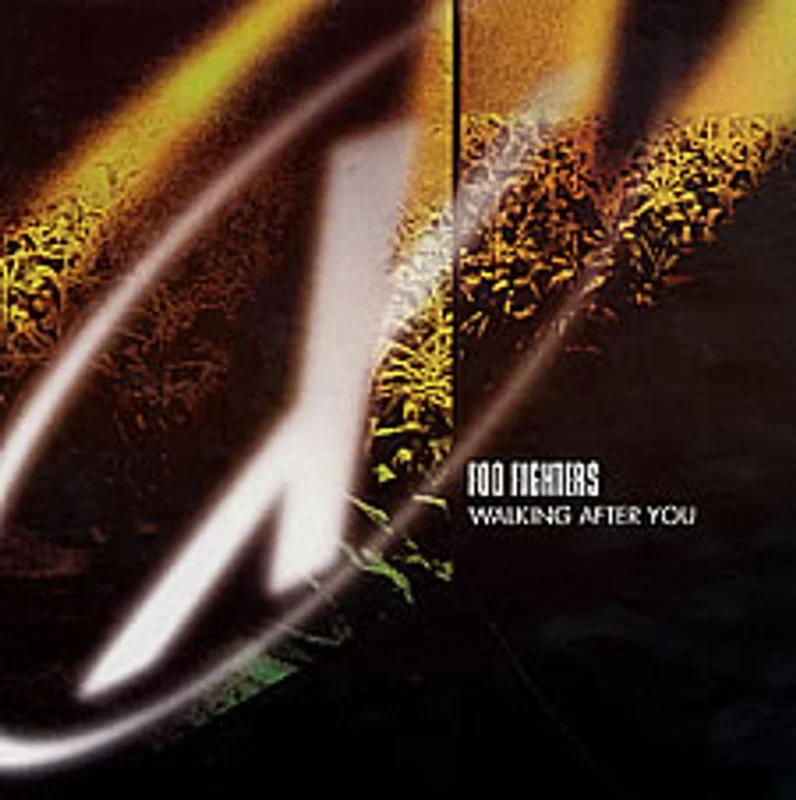 Foo Fighters Walking After You UK 7" vinyl