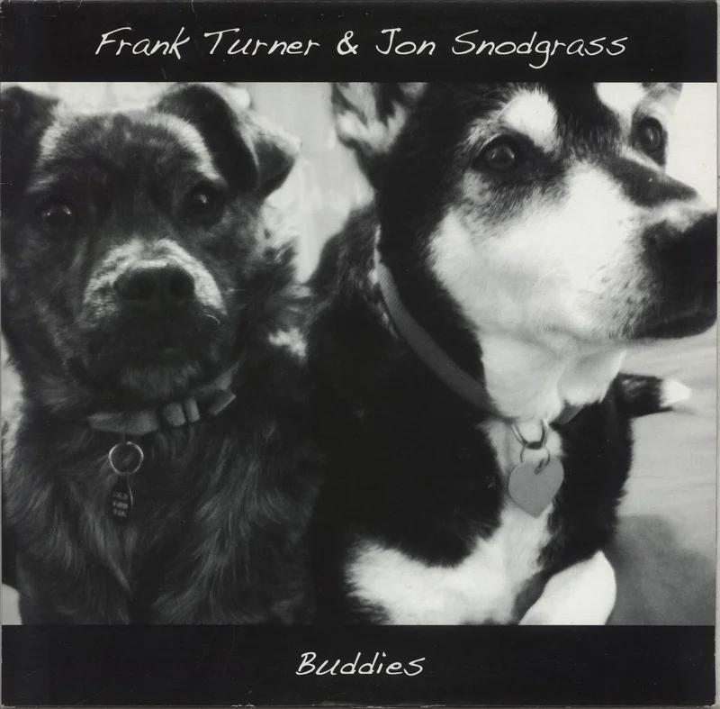Frank Turner Buddies - Green Vinyl - VG UK 10" vinyl