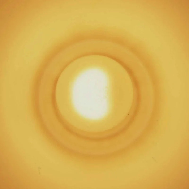 GAUTE GRANLI Monstersol