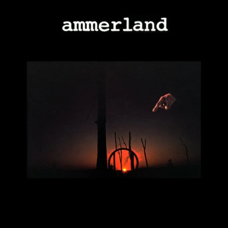 Gerhard Fhrs, Heinz Frhling - Ammerland