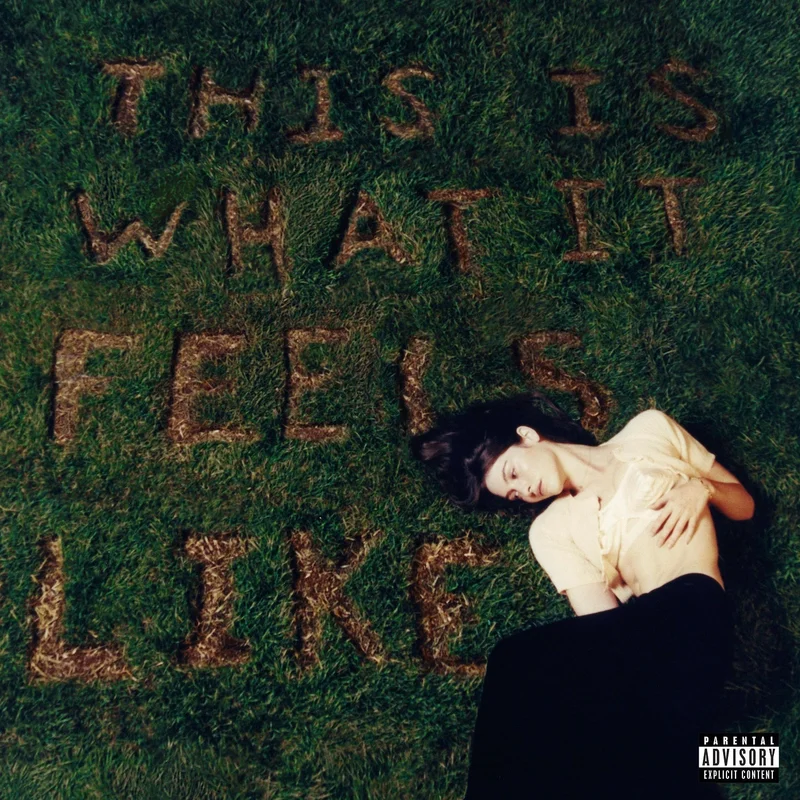 Gracie Abrams This Is What It Feels Like [LP]