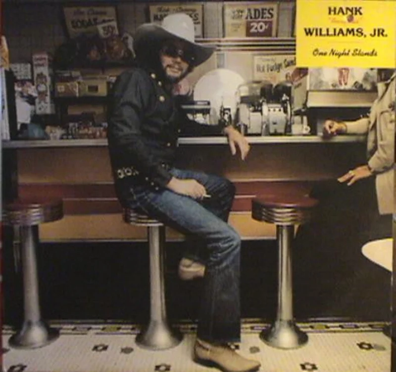 Hank Williams Jr. - One Night Stands