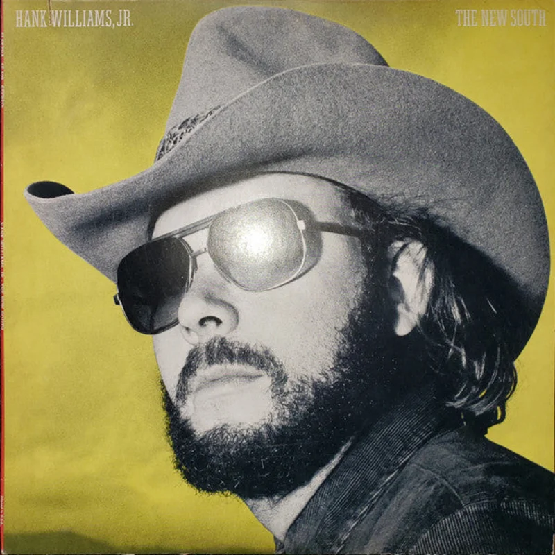 Hank Williams Jr. - The New South