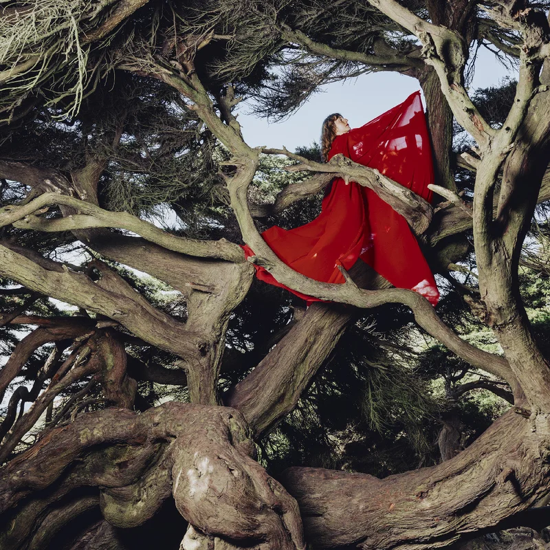 Hannah Frances Nested In Tangles (Ruby Red Vinyl)