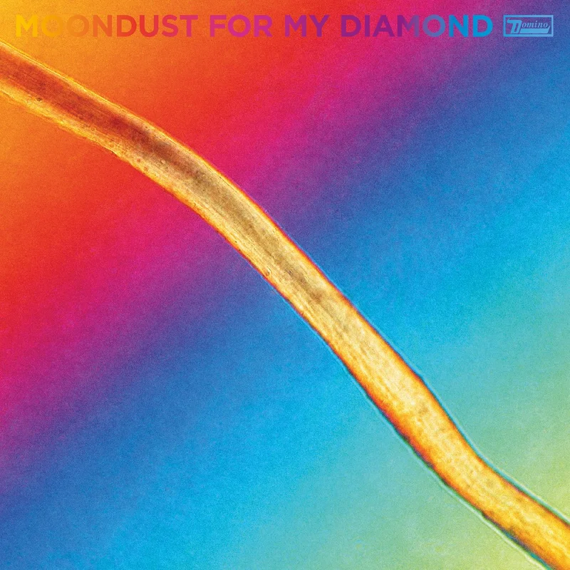 Hayden Thorpe Moondust For My Diamond