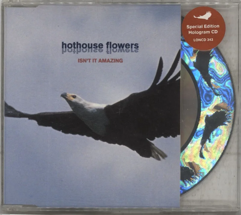 Hothouse Flowers Isn't It Amazing - Hologram Cd UK CD single
