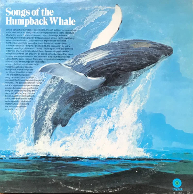 Humpback Whale - Songs Of The Humpback Whale