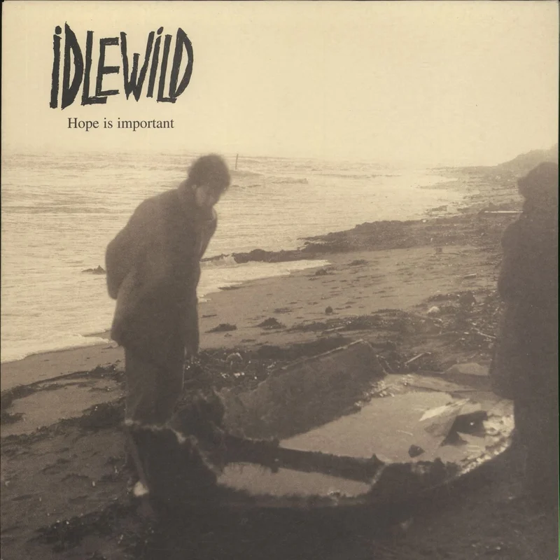 Idlewild Hope Is Important UK Vinyl LP