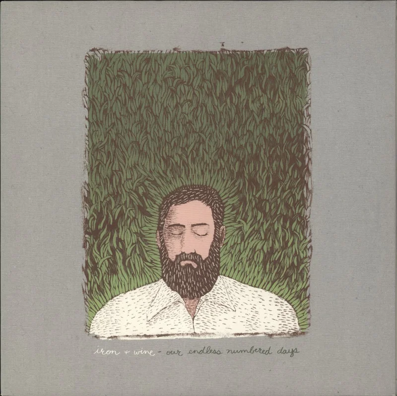 Iron & Wine Our Endless Numbered Days - VG US 2-LP vinyl set