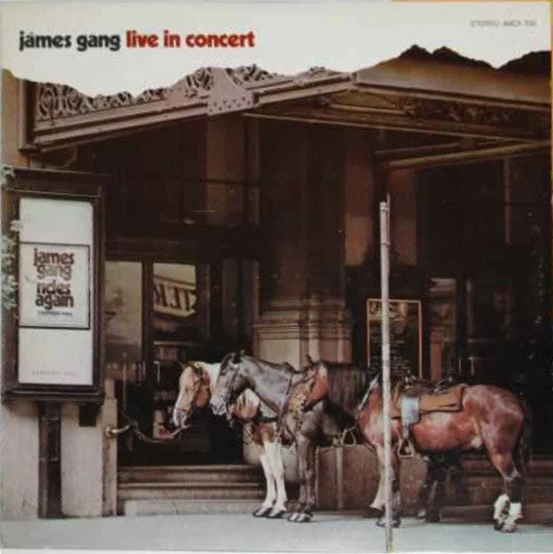 James Gang - Live In Concert