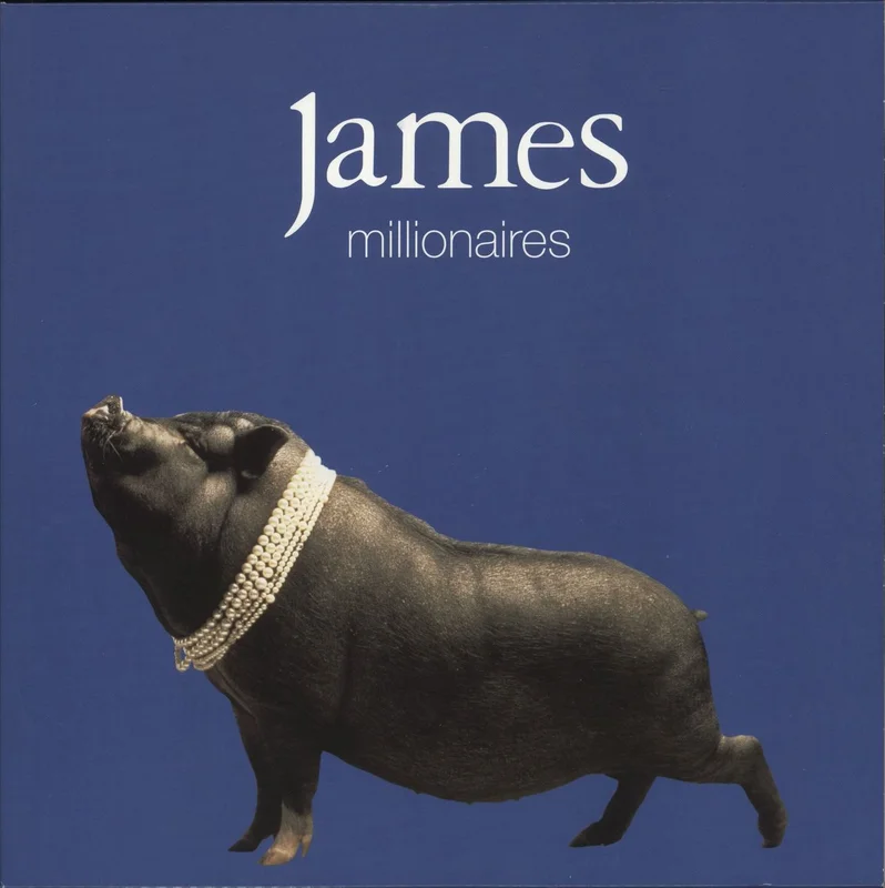 James Millionaires - 180gram Vinyl UK 2-LP vinyl set