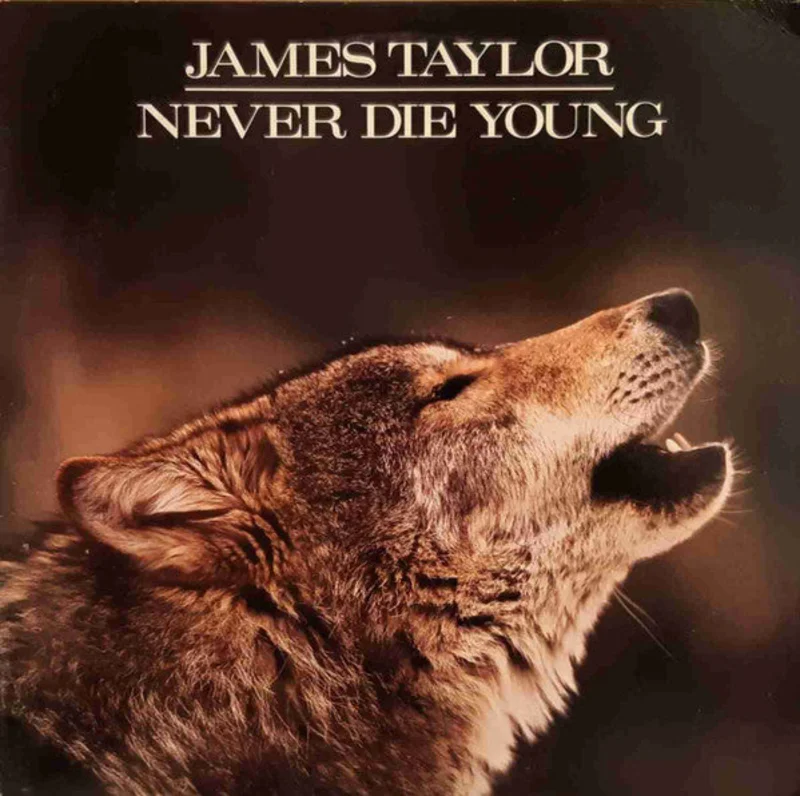 James Taylor - Never Die Young
