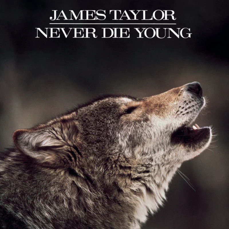 James Taylor - Never DieYoung (Music On Vinyl) (Arrives in 21 days)