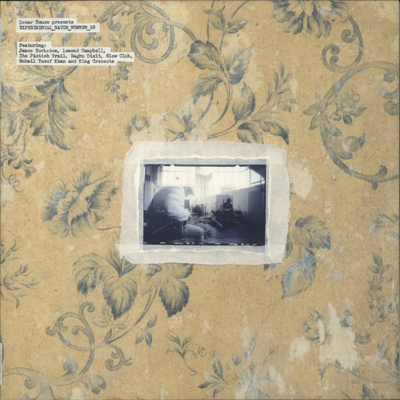 James Yorkston EXPERIMENTAL_BATCH_NUMBER_26 UK Vinyl LP