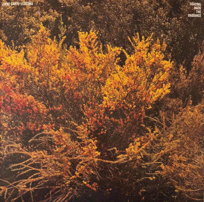 Jefre Cantu-Ledesma - Tracing Back The Radiance