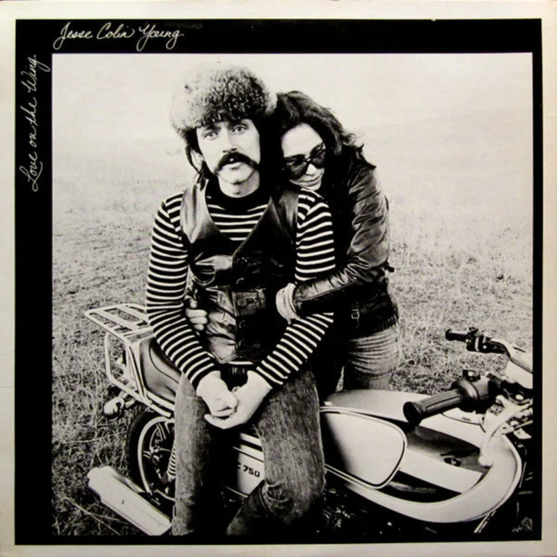 Jesse Colin Young - Love On The Wing