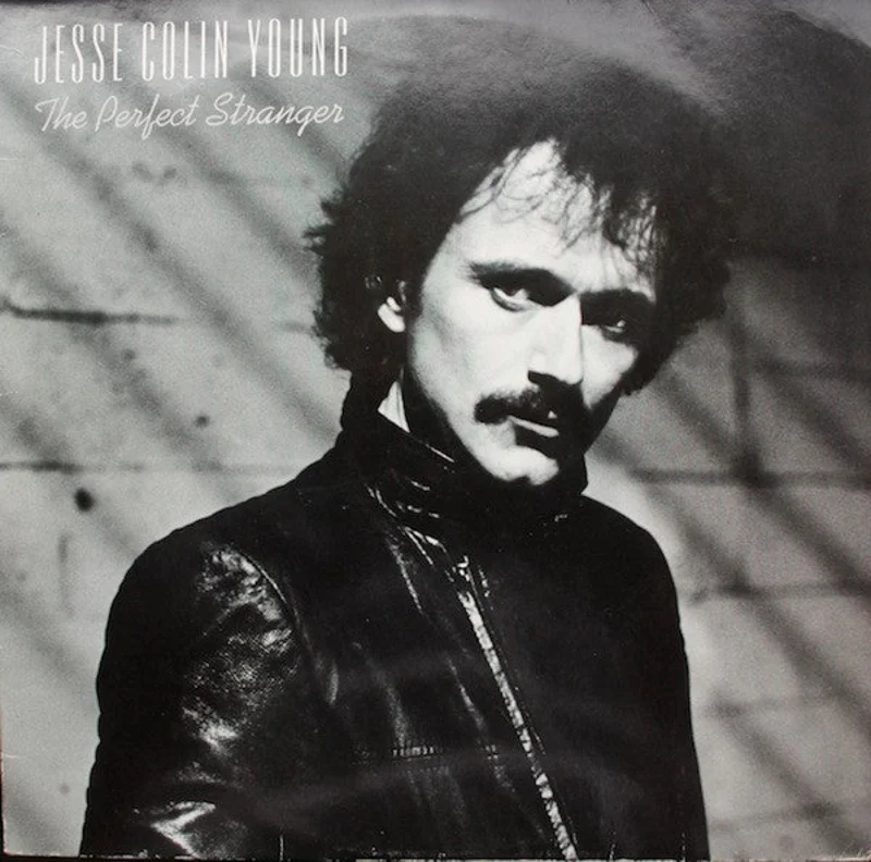 Jesse Colin Young - The Perfect Stranger