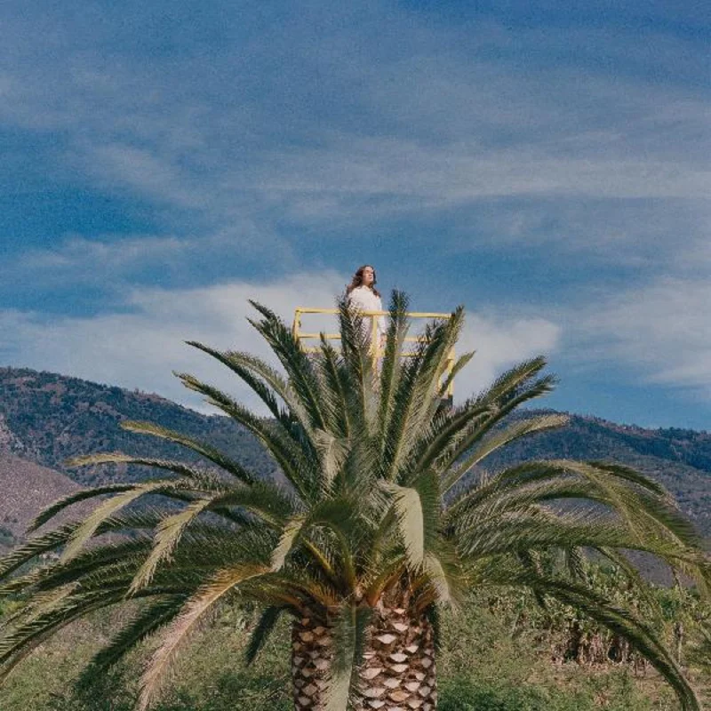 Jessy Lanza Love Hallucination
