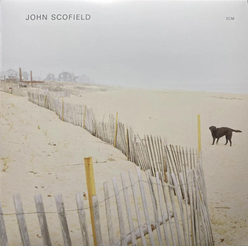 John Scofield - John Scofield