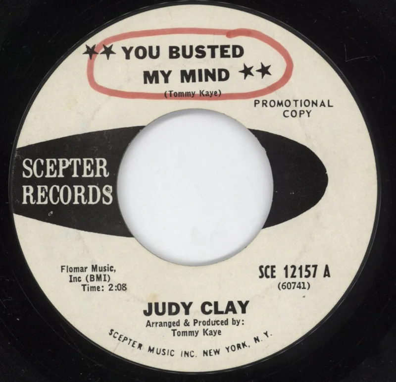 Judy Clay You Busted My Mind / He's The Kind Of Guy US Promo 7" vinyl