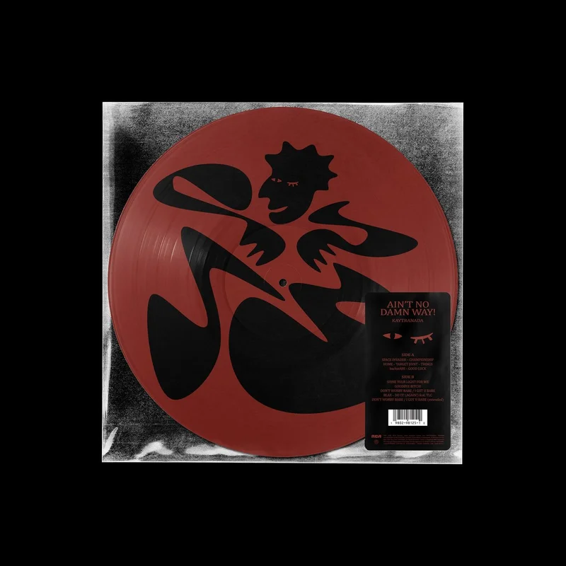 Kaytranada Ain't No Damn Way! - Picture Disc Edition UK Picture disc LP