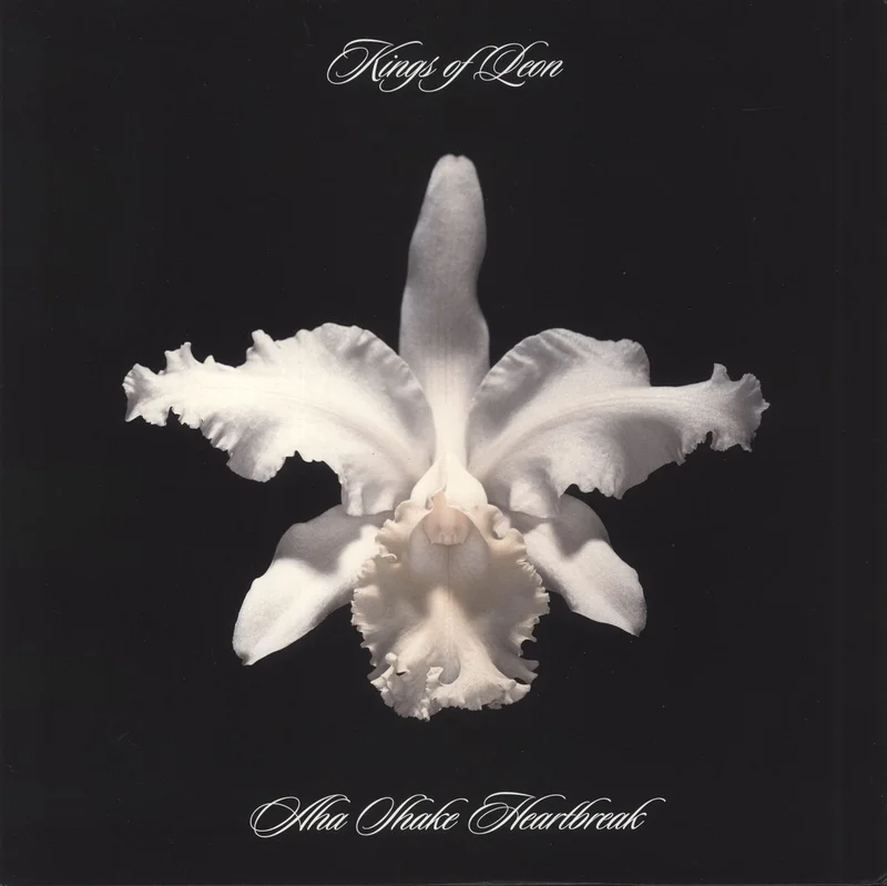 Kings Of Leon Aha Shake Heartbreak - Black UK 2-LP vinyl set