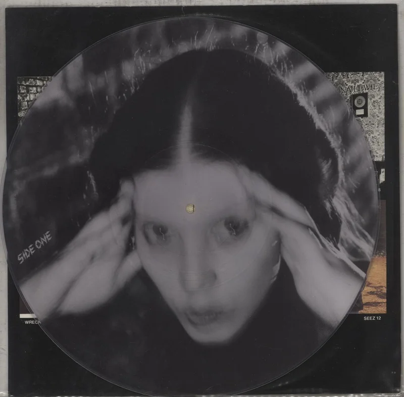 Lene Lovich Stateless + Insert UK Picture disc LP