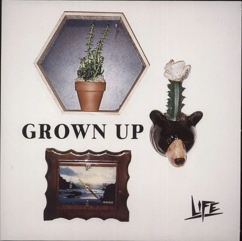 Life Grown Up UK 7" vinyl