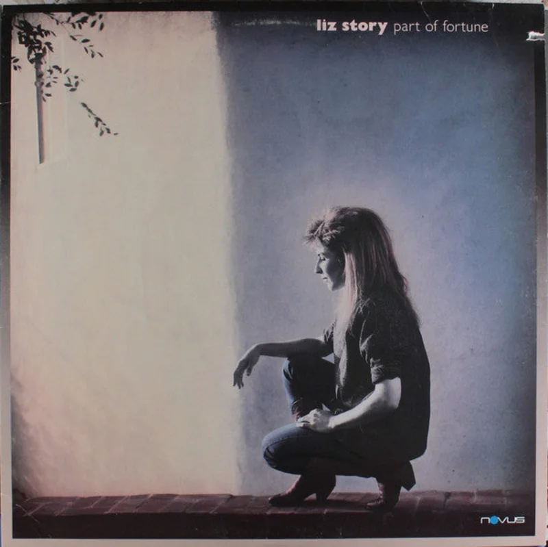 Liz Story - Part Of Fortune