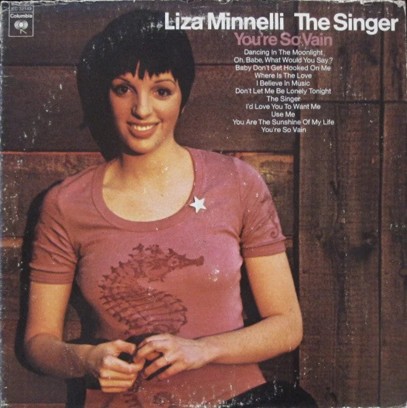 Liza Minnelli - The Singer