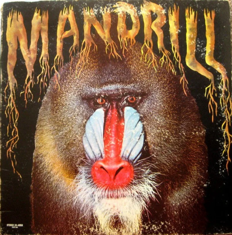 Mandrill - Mandrill