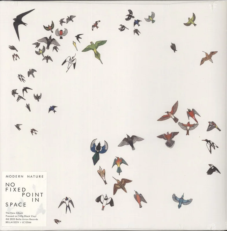 Modern Nature No Fixed Point In Space - Sealed UK Vinyl LP