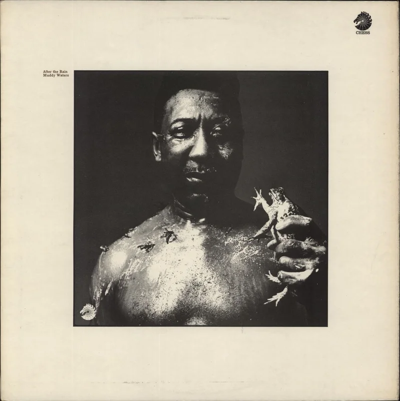 Muddy Waters After The Rain - 1st UK Vinyl LP