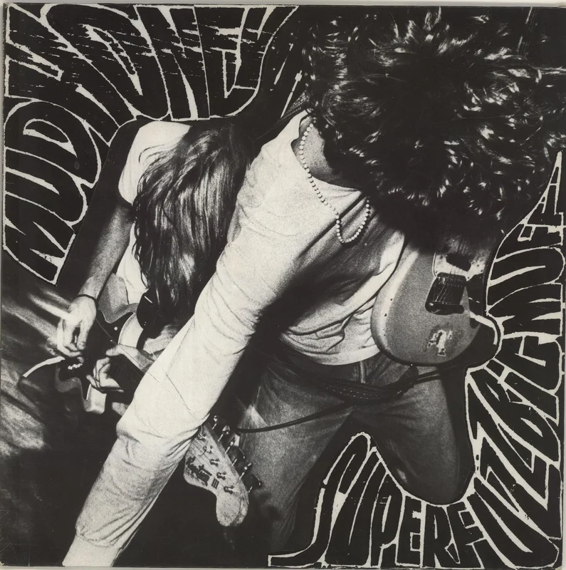 Mudhoney Superfuzz Bigmuff German Vinyl LP