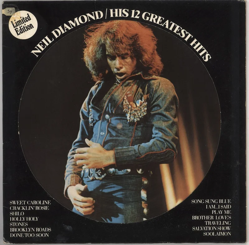 Neil Diamond His 12 Greatest Hits - EX Dutch Picture disc LP