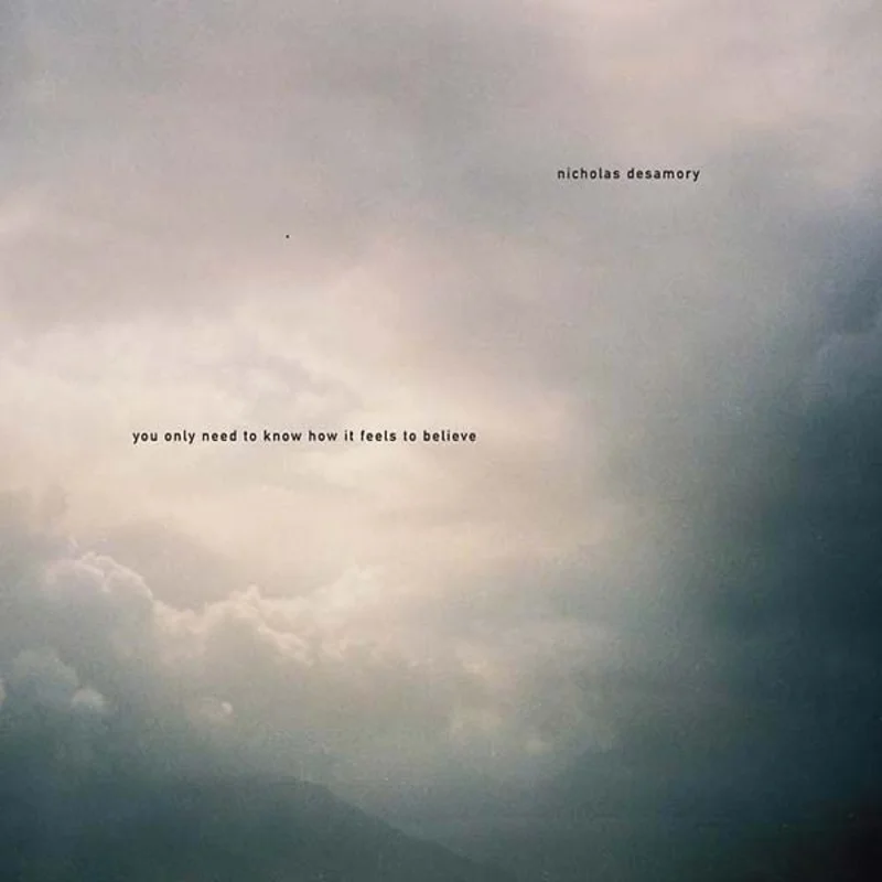 NICHOLAS DESAMORY You Only Need To Know How It Feels To Believe