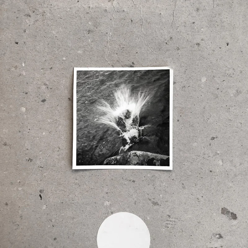 Nils Frahm Empty