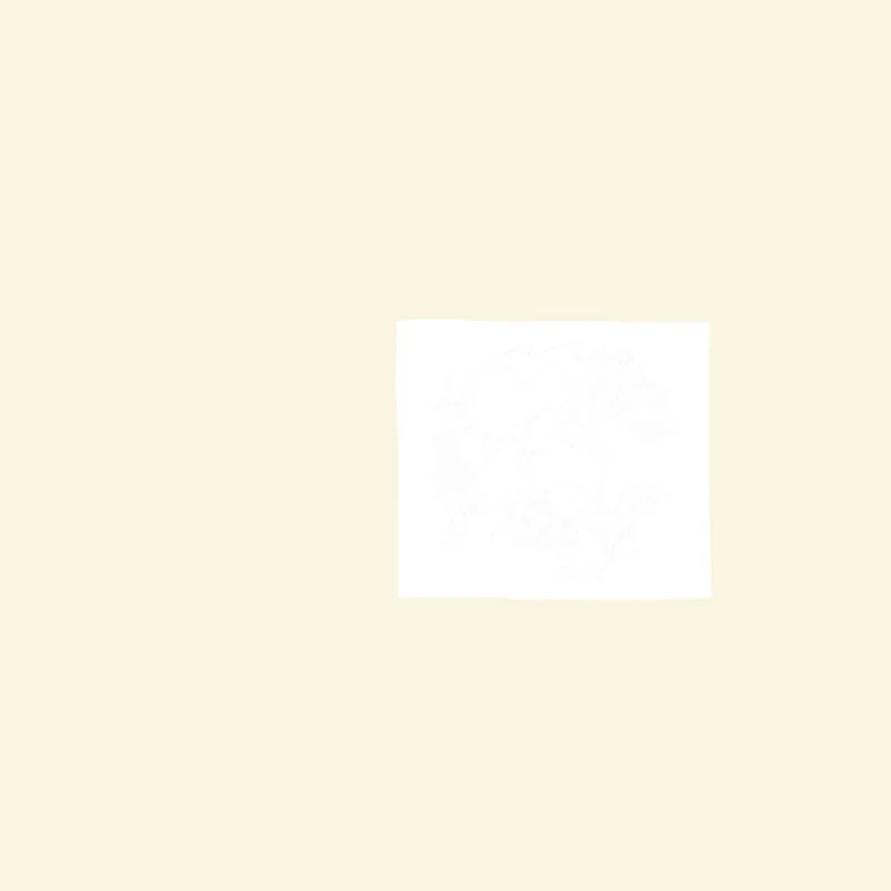 NO UFO'S NU LP For RS