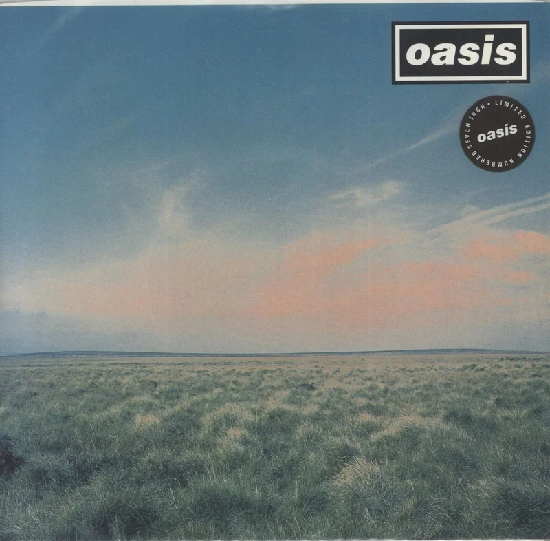 Oasis Whatever - Numbered - EX UK 7" vinyl