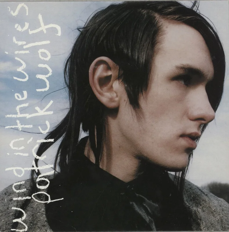 Patrick Wolf Wind In The Wires  German 7" vinyl