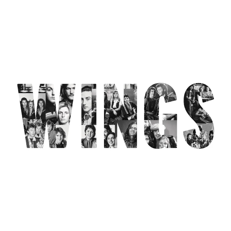 Paul Mccartney And Wings Wings [180G LP]