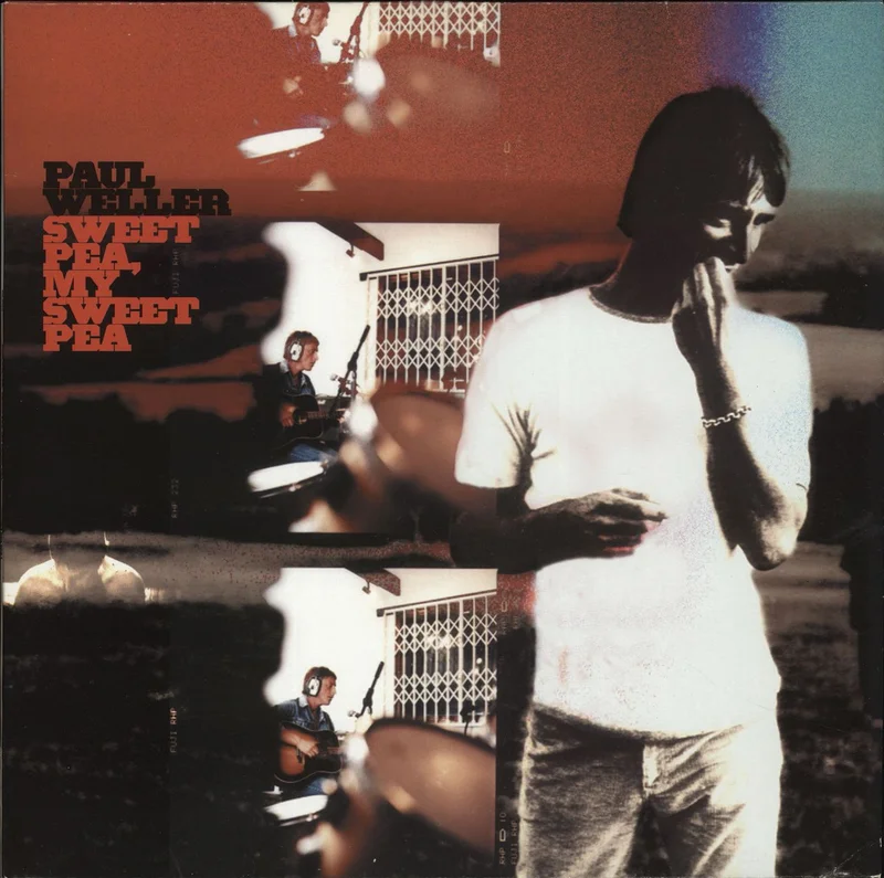 Paul Weller Sweet Pea, My Sweet Pea UK 12" vinyl