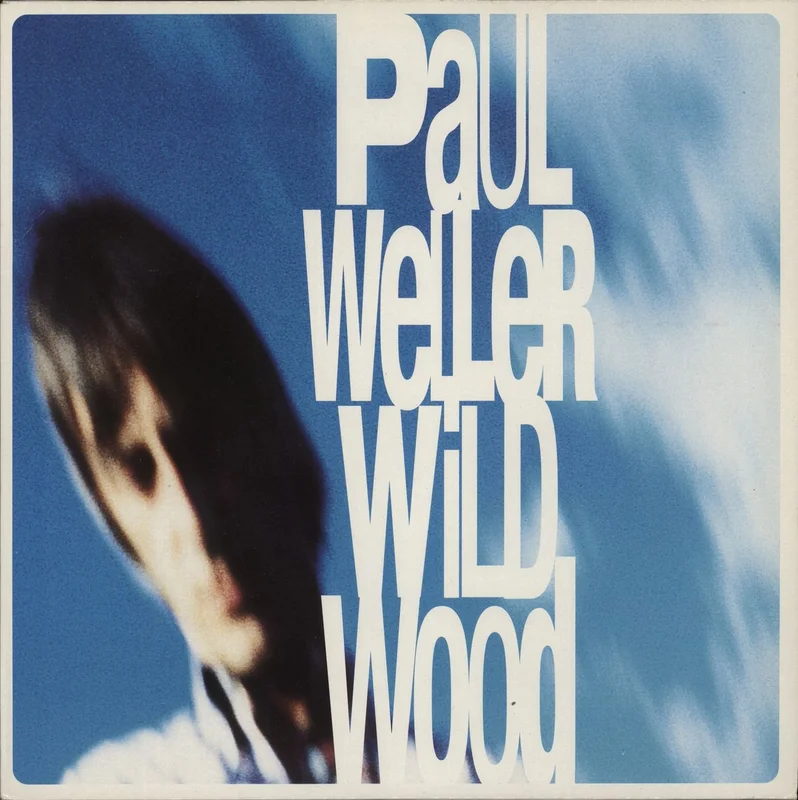 Paul Weller Wild Wood - EX UK 12" vinyl