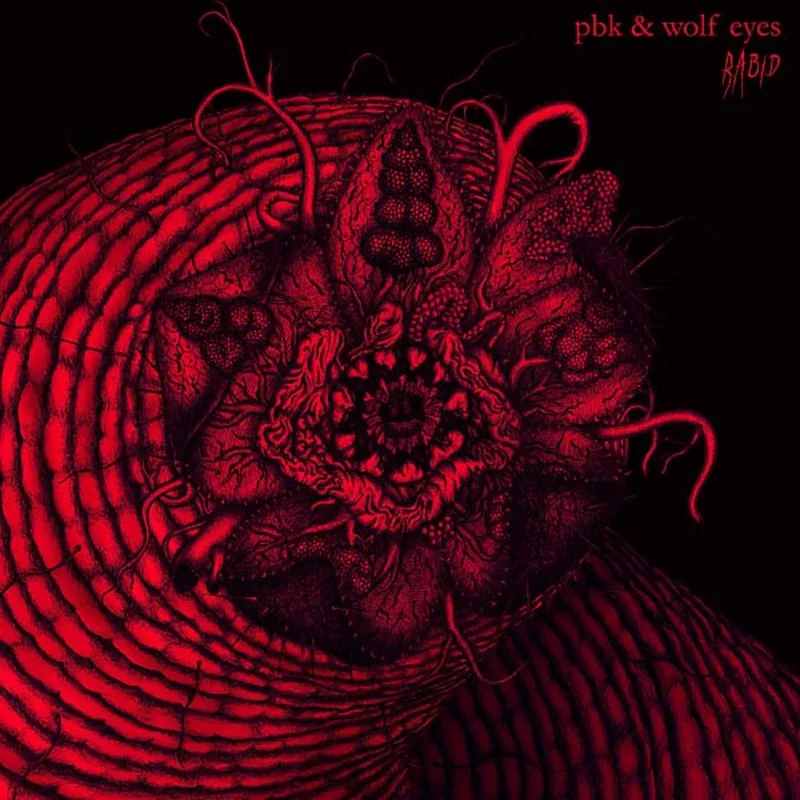 PBK & WOLF EYES Rabid