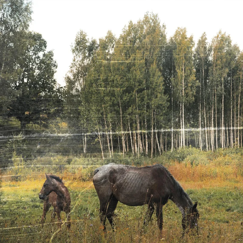 Pianos Become The Teeth Old Pride (FOREST GREEN VINYL)