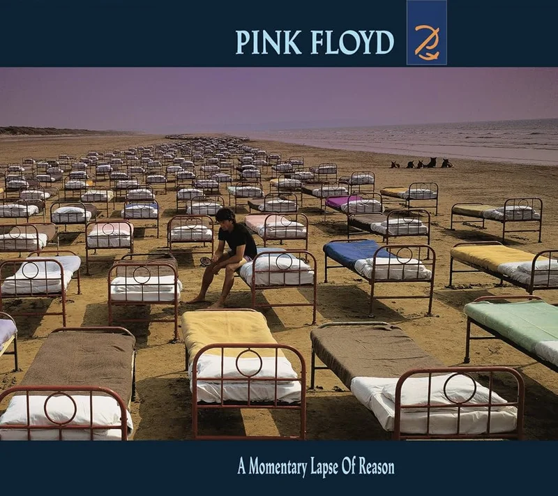 Pink Floyd - A Momentary Lapse Of Reason (Quick Ship)