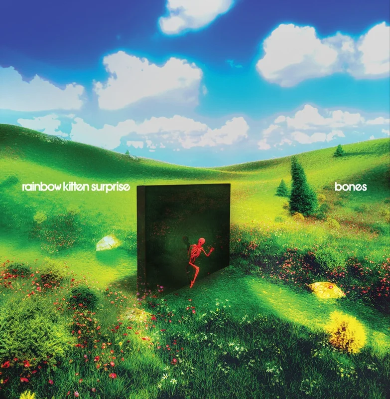 Rainbow Kitten Surprise Bones (Standard Black Vinyl)